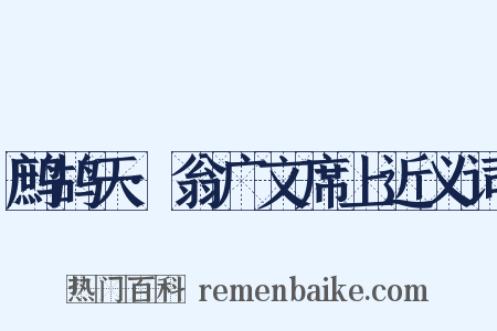 鹧鸪天·翁广文席上近义词是什么意思的图片